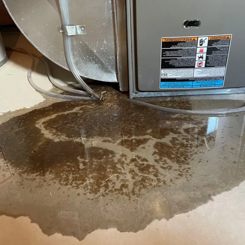 Pipe Burst and Leak Restoration in Milroy, PA