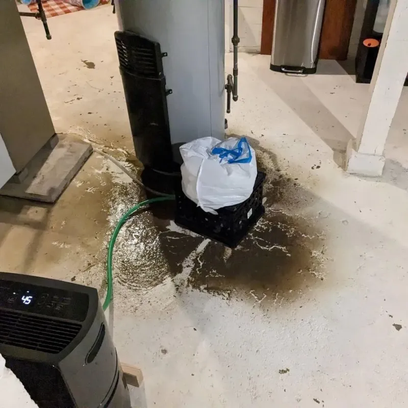 Sewage Backup Cleanup Service in Milroy, PA